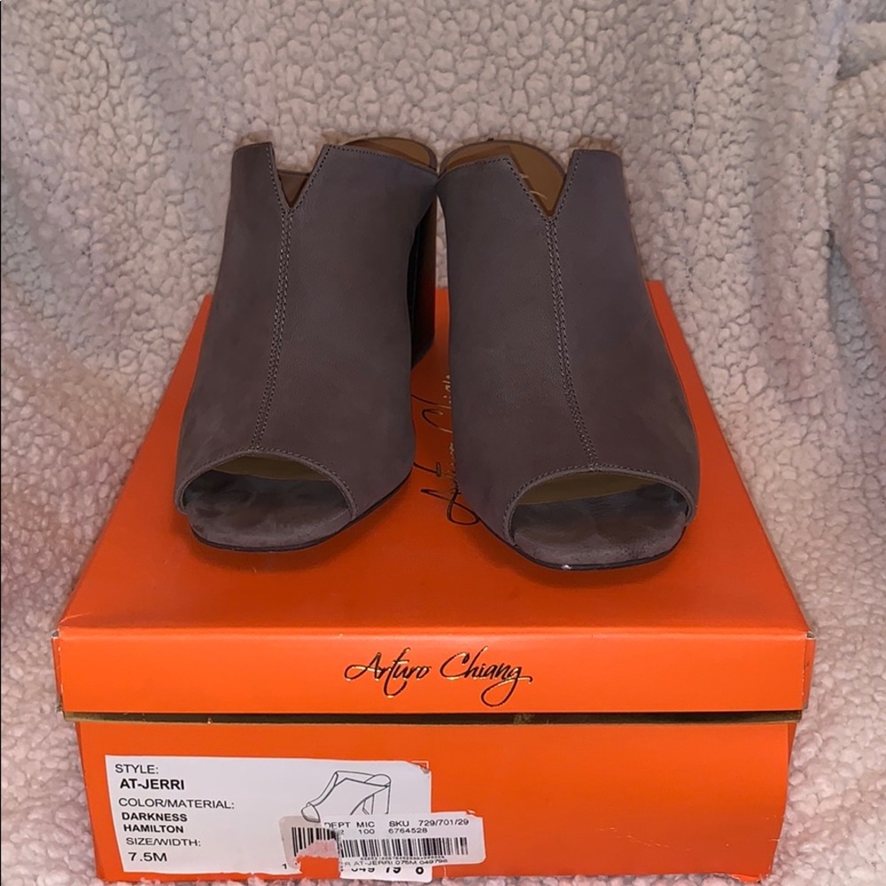 Arturo Chiang Mule Heels